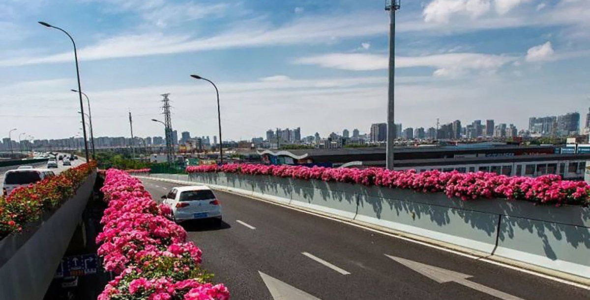 環(huán)城南路快速路高架橋橋面綠化美化綜合整治工程