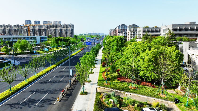 金鐘路（寶化路-南山路段）改擴(kuò)建工程（Ⅱ標(biāo)段）